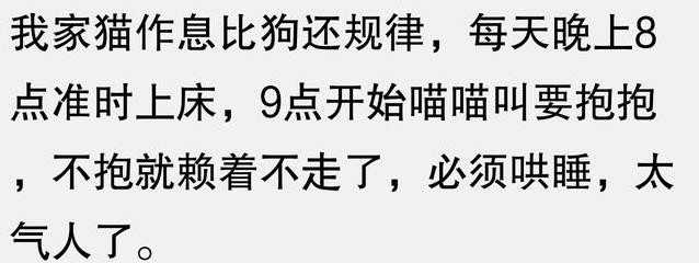 狗子比人还准时，9点必睡不熬夜，全家作息被它管？
