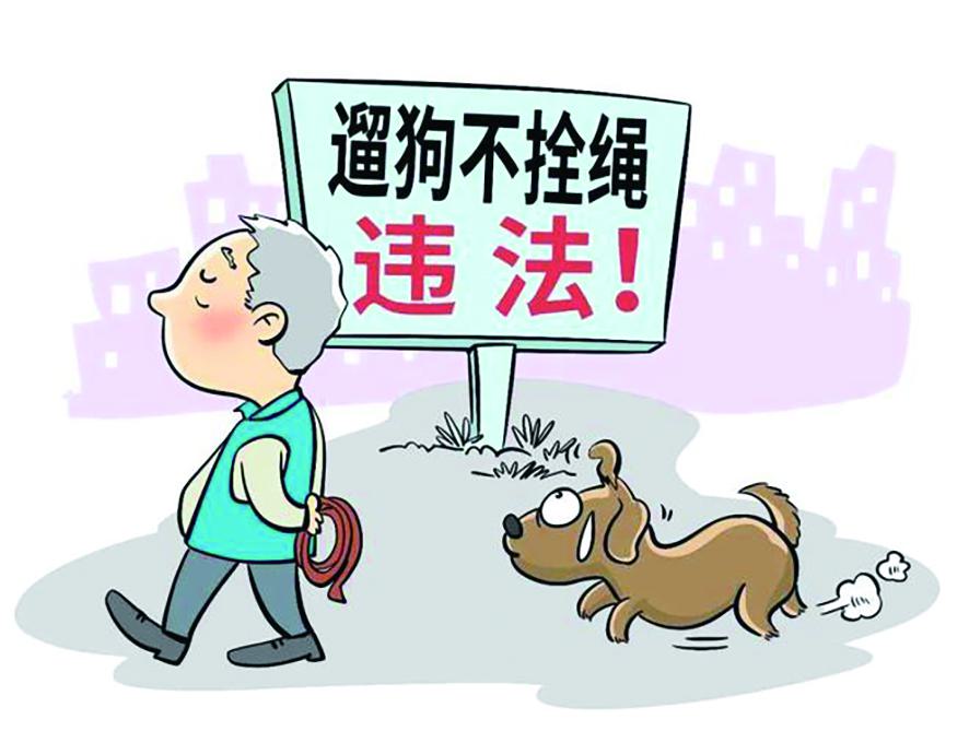 被未拴绳宠物犬追赶，女童摔倒骨折，谁来担责？