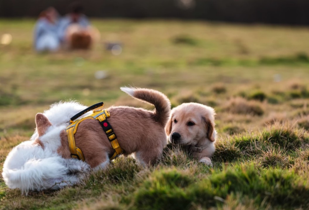 爱在具体地发生